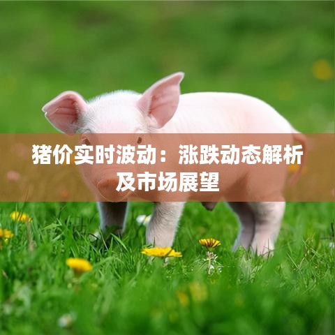 猪价实时波动：涨跌动态解析及市场展望