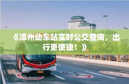 《漳州动车站实时公交查询，出行更便捷！》