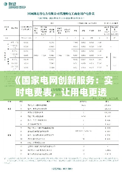 《国家电网创新服务：实时电费表，让用电更透明》