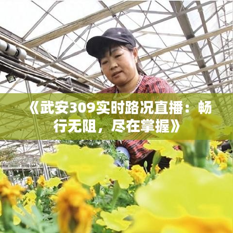 《武安309实时路况直播：畅行无阻，尽在掌握》
