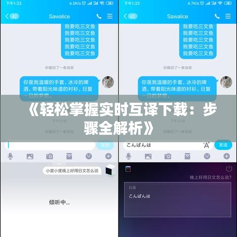《轻松掌握实时互译下载：步骤全解析》