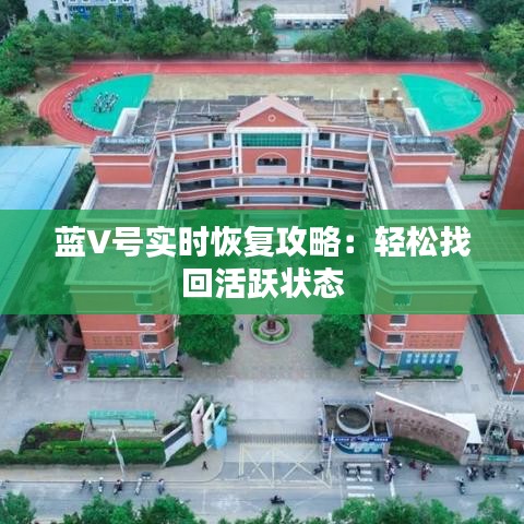 蓝V号实时恢复攻略：轻松找回活跃状态