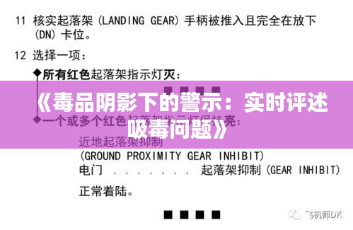 《毒品阴影下的警示：实时评述吸毒问题》