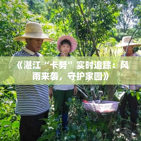 《湛江“卡努”实时追踪：风雨来袭，守护家园》