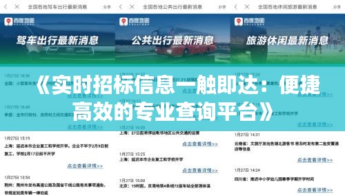 《实时招标信息一触即达：便捷高效的专业查询平台》