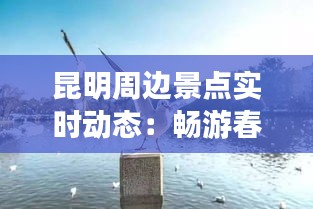 瞋目张胆 第3页