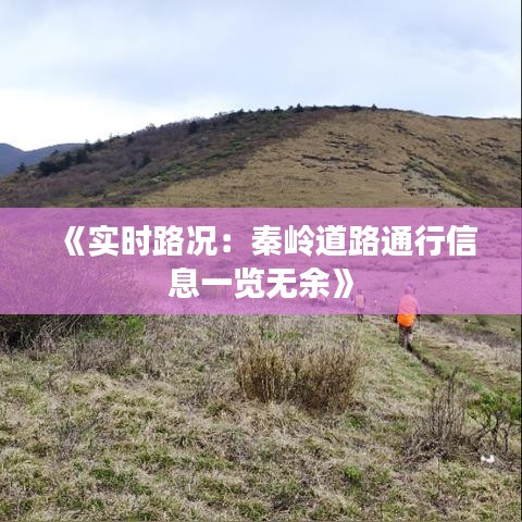 《实时路况：秦岭道路通行信息一览无余》
