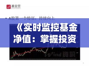 《实时监控基金净值：掌握投资脉搏的关键策略》