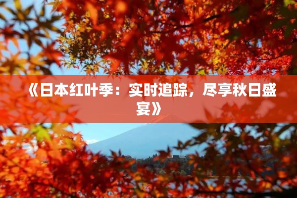 《日本红叶季：实时追踪，尽享秋日盛宴》