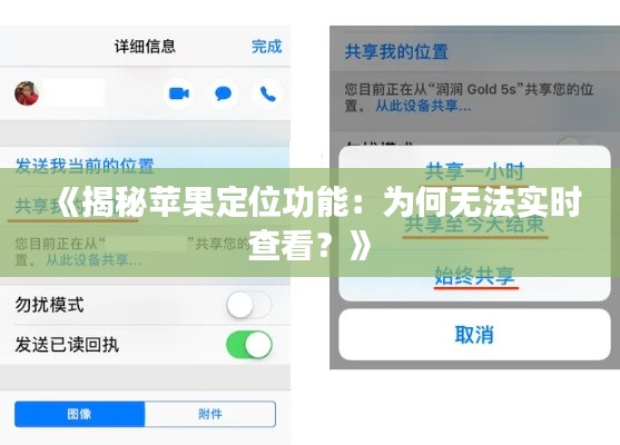 《揭秘苹果定位功能：为何无法实时查看？》