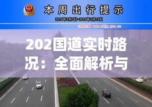 202国道实时路况：全面解析与出行指南