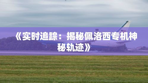 《实时追踪：揭秘佩洛西专机神秘轨迹》