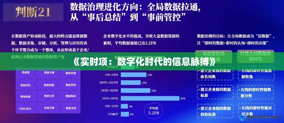 《实时项：数字化时代的信息脉搏》