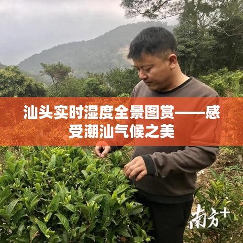汕头实时湿度全景图赏——感受潮汕气候之美