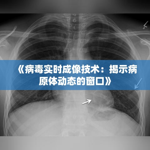《病毒实时成像技术：揭示病原体动态的窗口》