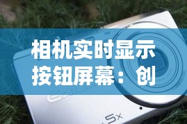衣不重采 第3页
