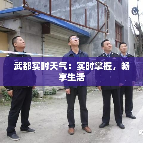 武都实时天气：实时掌握，畅享生活