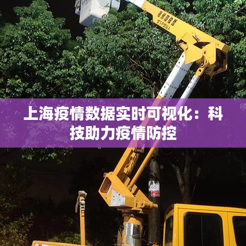 上海疫情数据实时可视化：科技助力疫情防控