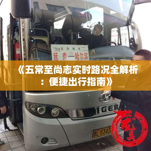 《五常至尚志实时路况全解析：便捷出行指南》