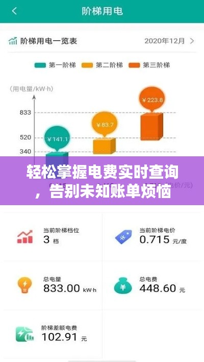 轻松掌握电费实时查询，告别未知账单烦恼