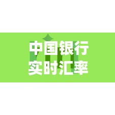 中国银行实时汇率查询图解析：洞察外汇市场动态