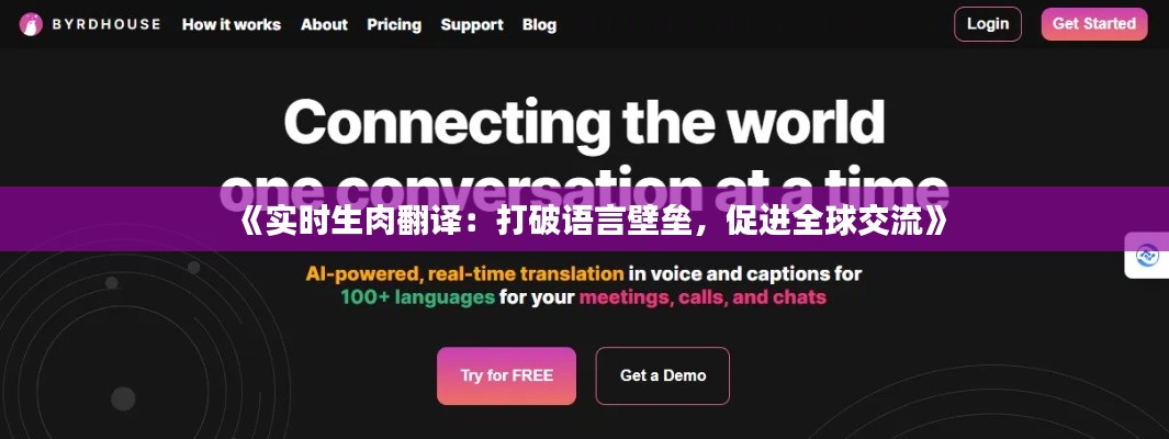《实时生肉翻译：打破语言壁垒，促进全球交流》