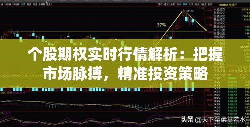 小家碧玉 第2页