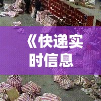 《快递实时信息追踪：全方位掌握物流动态》