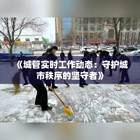 《城管实时工作动态：守护城市秩序的坚守者》
