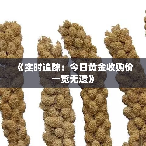 《实时追踪：今日黄金收购价一览无遗》