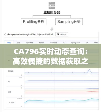 CA796实时动态查询：高效便捷的数据获取之道
