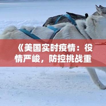 《美国实时疫情：役情严峻，防控挑战重重》