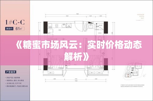 飞黄腾达 第3页