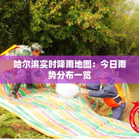 哈尔滨实时降雨地图：今日雨势分布一览