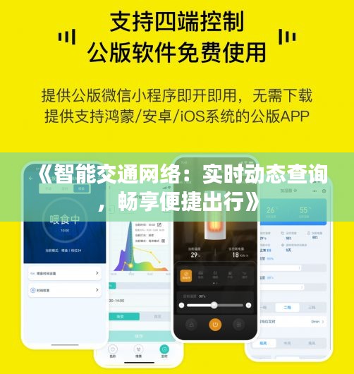 《智能交通网络：实时动态查询，畅享便捷出行》