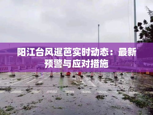 阳江台风暹芭实时动态：最新预警与应对措施