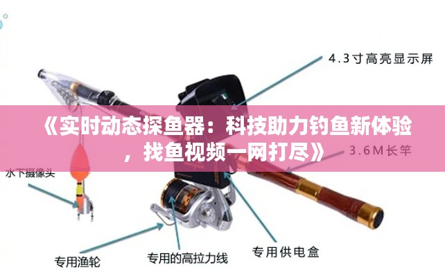 《实时动态探鱼器：科技助力钓鱼新体验，找鱼视频一网打尽》