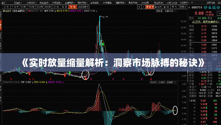 目不转睛 第3页