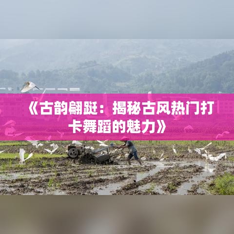 《古韵翩跹：揭秘古风热门打卡舞蹈的魅力》