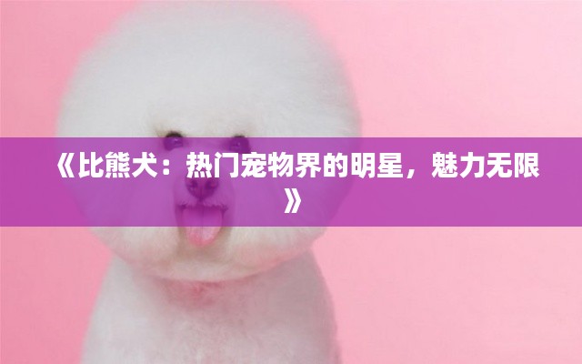 《比熊犬：热门宠物界的明星，魅力无限》
