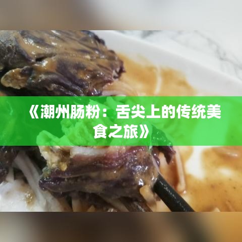 《潮州肠粉：舌尖上的传统美食之旅》