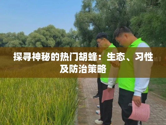 探寻神秘的热门胡蜂：生态、习性及防治策略
