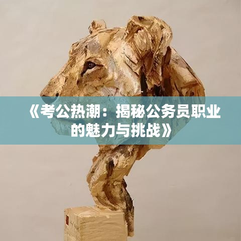 《考公热潮：揭秘公务员职业的魅力与挑战》