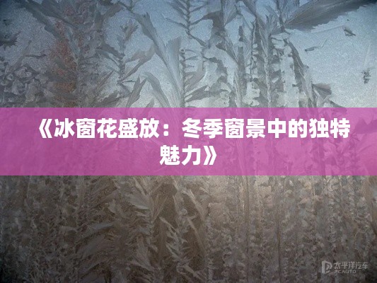 天罗地网 第3页