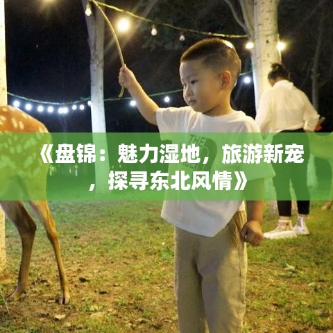 《盘锦：魅力湿地，旅游新宠，探寻东北风情》