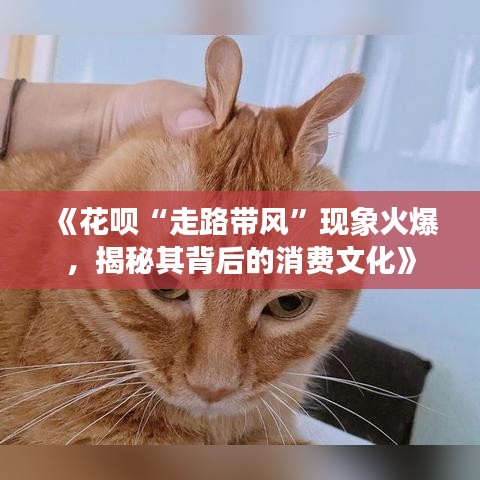 《花呗“走路带风”现象火爆，揭秘其背后的消费文化》