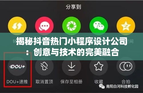 揭秘抖音热门小程序设计公司：创意与技术的完美融合