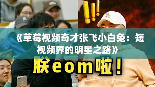 《草莓视频奇才张飞小白兔：短视频界的明星之路》