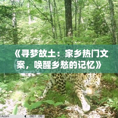 《寻梦故土：家乡热门文案，唤醒乡愁的记忆》
