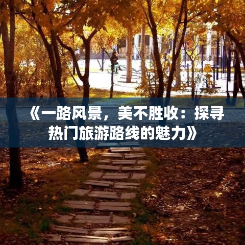 《一路风景，美不胜收：探寻热门旅游路线的魅力》